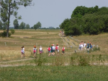 Ruszyła 7 edycja Kolorowej Lokomotywy, E. Fraszczyńska